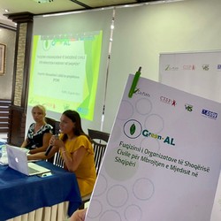 Green-AL Image 10